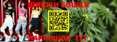 индика Будённовск