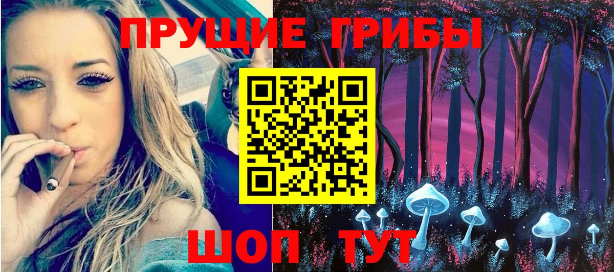 где найти наркотики  Вход с VPN  Саянск  Галлюциногенные грибы Magic Shrooms 